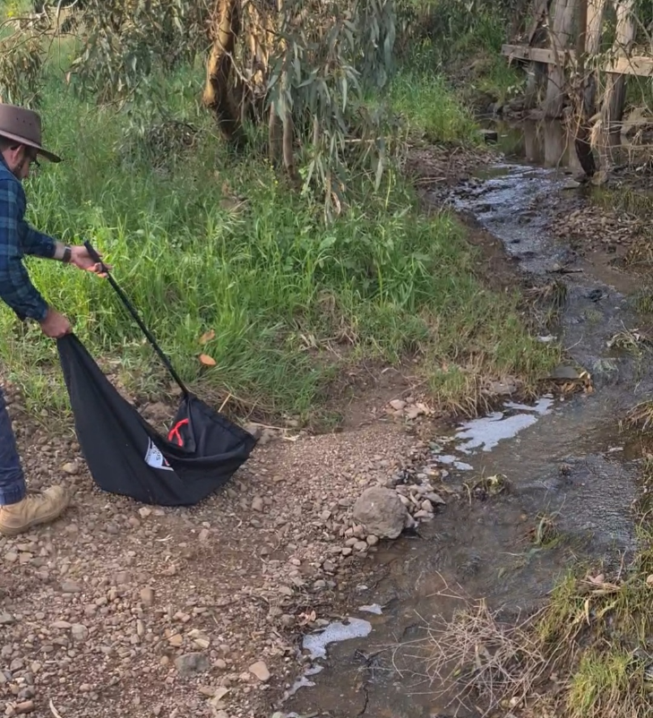 Snakes Compassionate Animal Rescue & Exclusion
